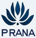 prana-centro-vital.com